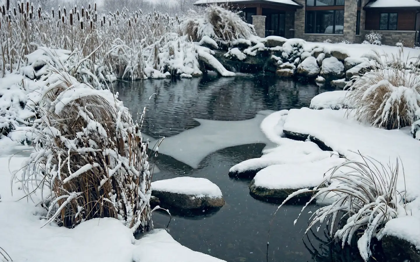 Komplett-Ratgeber: Gartenteich winterfest machen