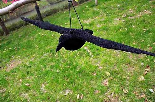 Plastová dekorácia Vrana s roztiahnutými krídlami - | T - TAKÁCS veľkoobchod