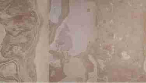 Autumn Cream kamenná dyha 122 x 61 cm - | T - TAKÁCS veľkoobchod