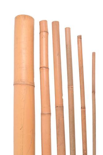 Bambusová tyč 90 cm, 8 - 10 mm, zväzok 20 ks - | T - TAKÁCS veľkoobchod