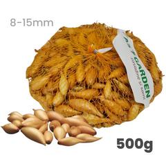 Cibuľa sadzačka Birnformige 8 - 15 mm, 500 g