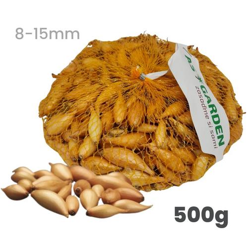Cibuľa sadzačka Birnformige 8 - 15 mm, 500 g