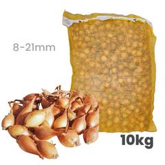Cibuľa sadzačka Senshyu Yellow - podlhovastá ozimná 8 - 21 mm, 10 kg 