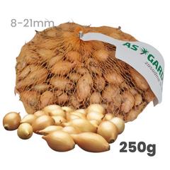 Cibuľa sadzačka SHAKESPEARE ozimná 8 - 21 mm, 250 g