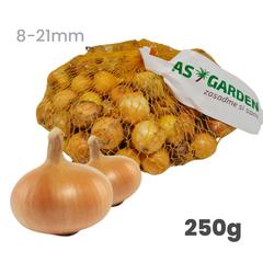 Cibuľa sadzačka Stuttgart 8 - 21 mm, 250 g