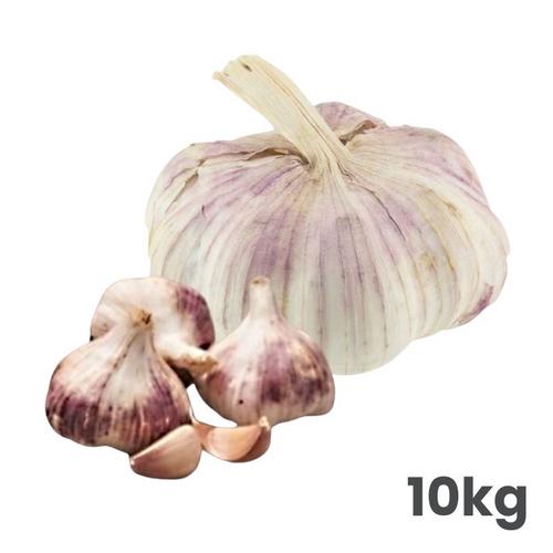 Sadbový cesnak Germidour, nepaličiak 10 kg, 50 - 60 mm