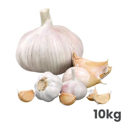 Sadbový cesnak Morado, neskorý paličiak 50 - 60 mm, 10 kg