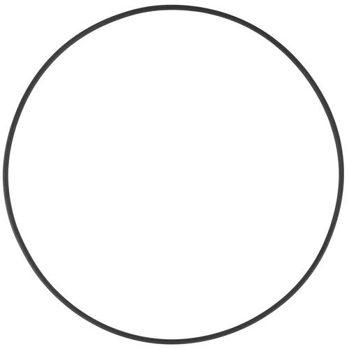 ASTRALPOOL tesnenie torické pod prírubu filtra PTK